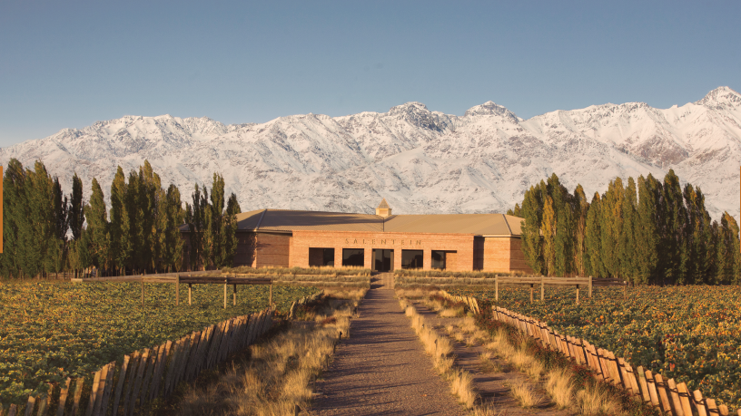 Bodegas de Mendoza con viñedos y edificios históricos - Ruta del vino para turistas con auto alquilado